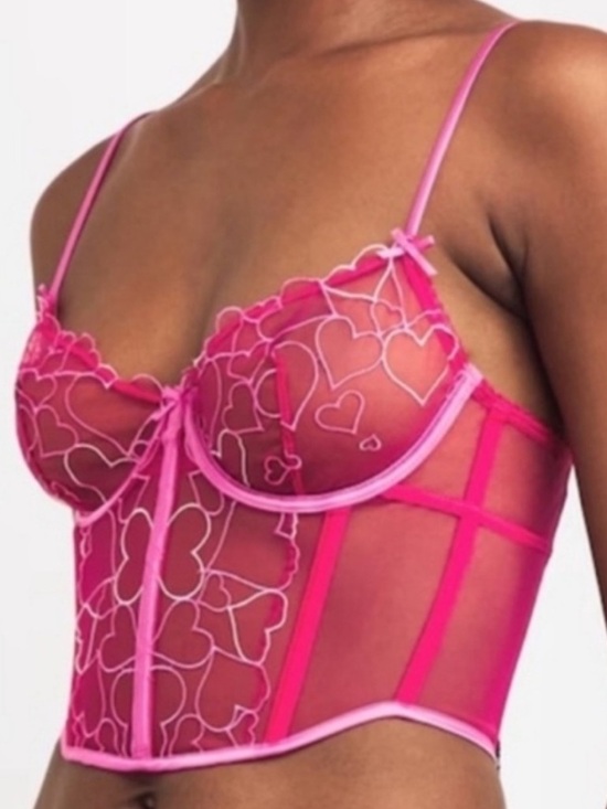 SKIMS Other - NWT SKIMS Embroidered Tulle Corset Top Size Small Hearts Pink Punch
